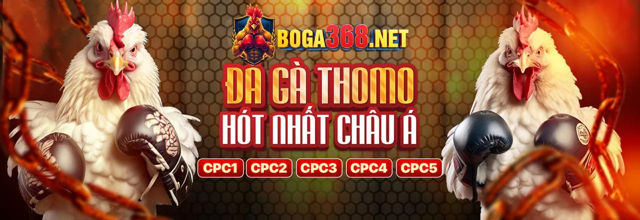 Giao diện cá cược thể thao sôi động tại 88m